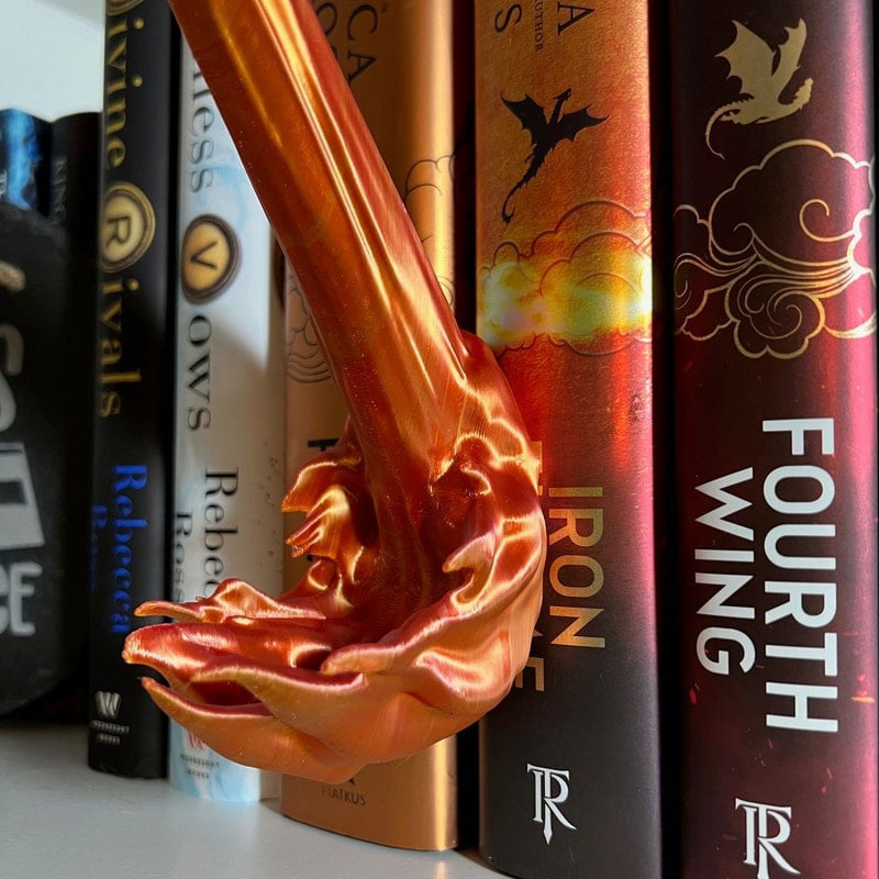 ✨Dragon Flame Bücherecke