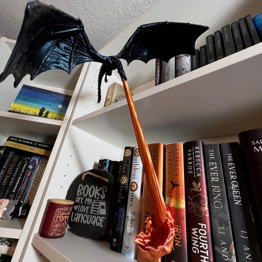 ✨Dragon Flame Bücherecke
