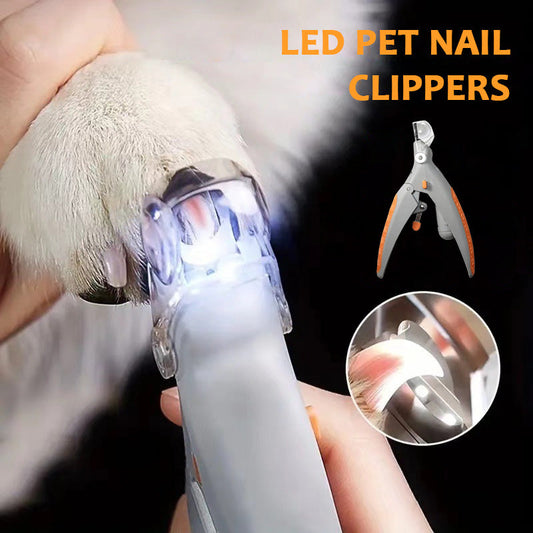 🐾 LED Krallenschere 💡 | Sicherer Schnitt für Hunde & Katzen (Anti-Bluten) ✨