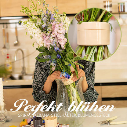 Spiral Blumenhalter für Vase 🌸 Ikebana Steckhilfe – Stabiler Stielhalter gegen Kippen & Hängen – Florale Arrangements leicht gemacht