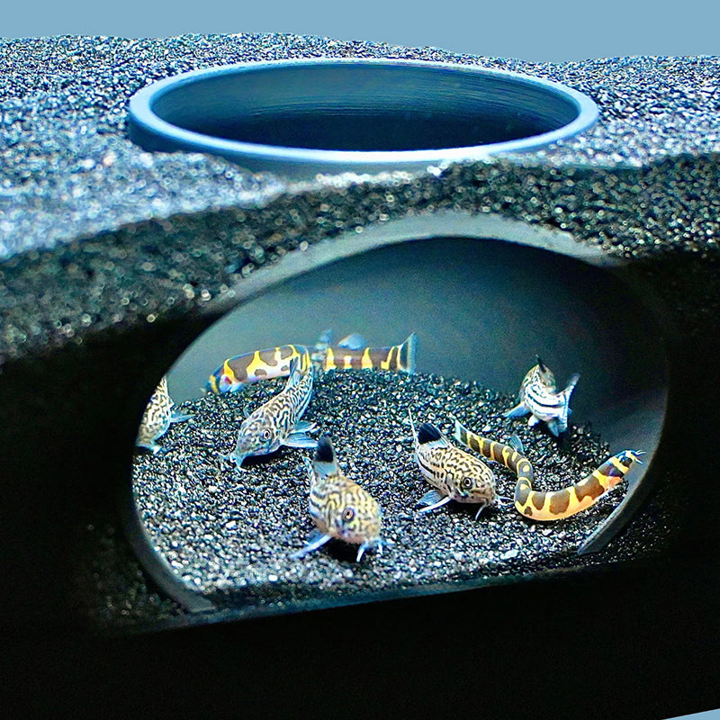 🐠 Aquarium Verstecktunnel – Sichere Höhle &amp; Natürliches Deko-Element