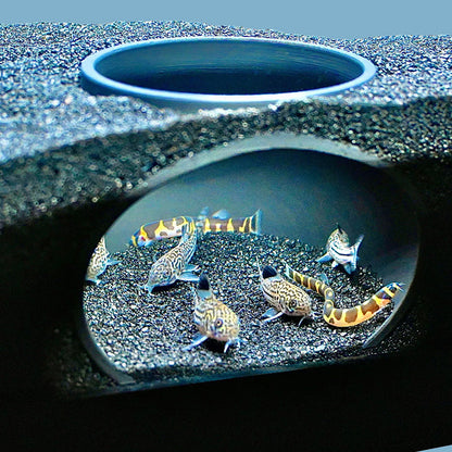 🐠 Aquarium Verstecktunnel – Sichere Höhle &amp; Natürliches Deko-Element