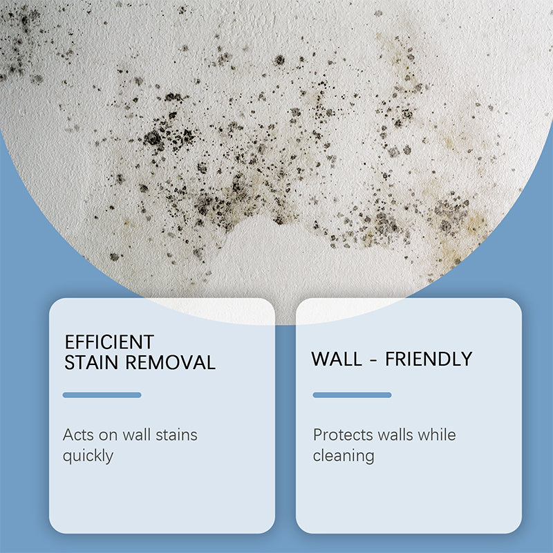 🧽 Schimmelentferner Spray mit Sofort-Wirkung