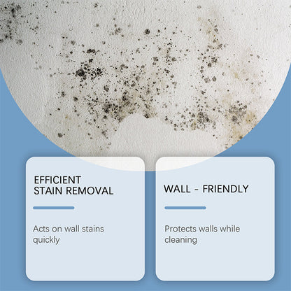 🧽 Schimmelentferner Spray mit Sofort-Wirkung