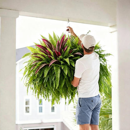 Immer Frisch, Nie Gießen: Premium Kunstfarn & Rote Dracaena 🌿