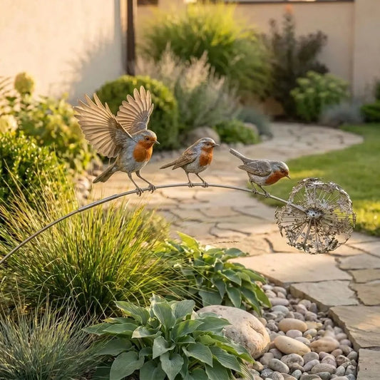 🕊️ Wenn Rotkehlchen erwachen: Ihr ewiger Bote der Liebe im Garten ❤️
