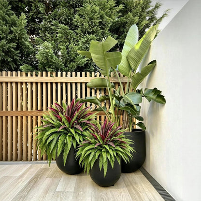 Immer Frisch, Nie Gießen: Premium Kunstfarn & Rote Dracaena 🌿