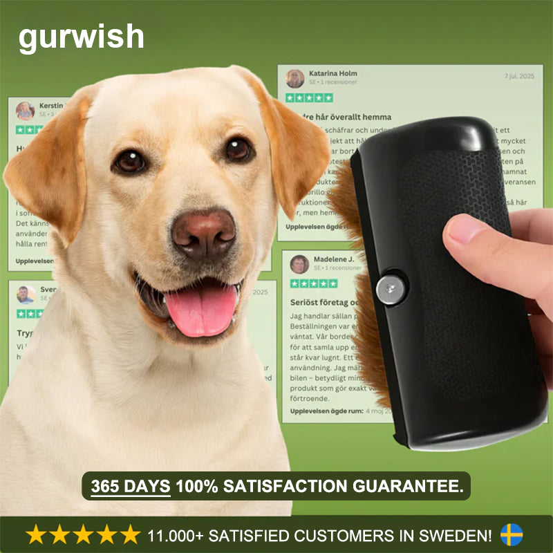 ✨ Hundebürste gegen Haarausfall 🐶 Für ein sauberes Zuhause 🏠