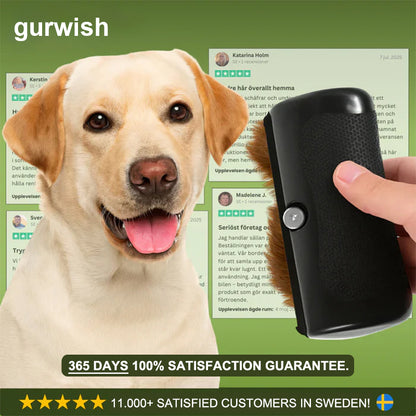 ✨ Hundebürste gegen Haarausfall 🐶 Für ein sauberes Zuhause 🏠