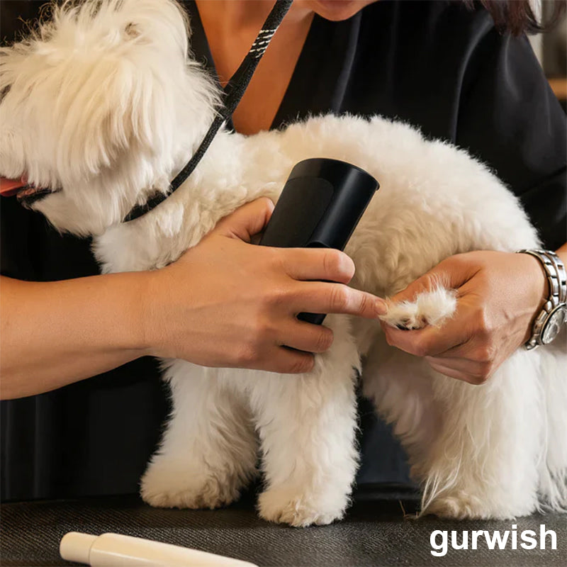 ✨ Hundebürste gegen Haarausfall 🐶 Für ein sauberes Zuhause 🏠