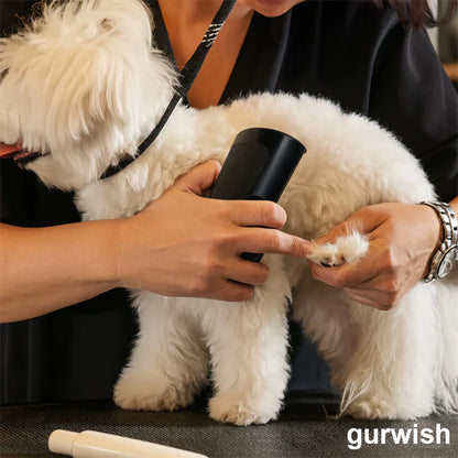 ✨ Hundebürste gegen Haarausfall 🐶 Für ein sauberes Zuhause 🏠