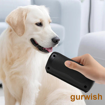 ✨ Hundebürste gegen Haarausfall 🐶 Für ein sauberes Zuhause 🏠