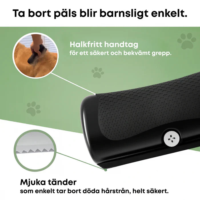 ✨ Hundebürste gegen Haarausfall 🐶 Für ein sauberes Zuhause 🏠