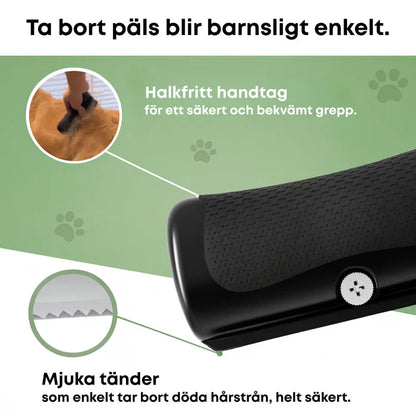✨ Hundebürste gegen Haarausfall 🐶 Für ein sauberes Zuhause 🏠