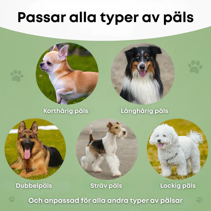 ✨ Hundebürste gegen Haarausfall 🐶 Für ein sauberes Zuhause 🏠