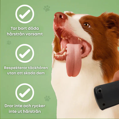 ✨ Hundebürste gegen Haarausfall 🐶 Für ein sauberes Zuhause 🏠