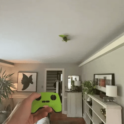 🦎 RC Wandkletter-Auto Gecko 🐞 | Fährt an Wänden & Decken | USB Aufladbar 🎁